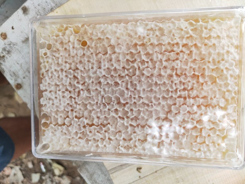 蜂巢蜜