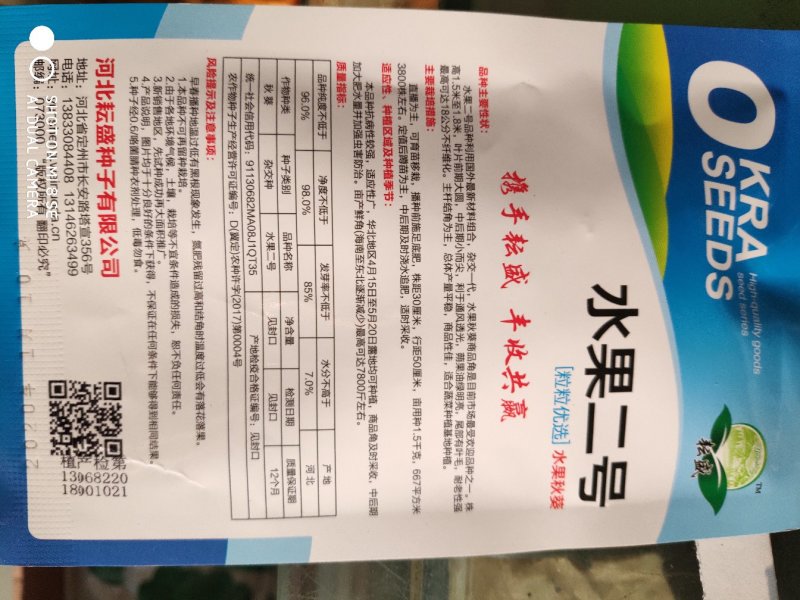 水果二号秋葵种子杂交一代蒴果油绿明亮
