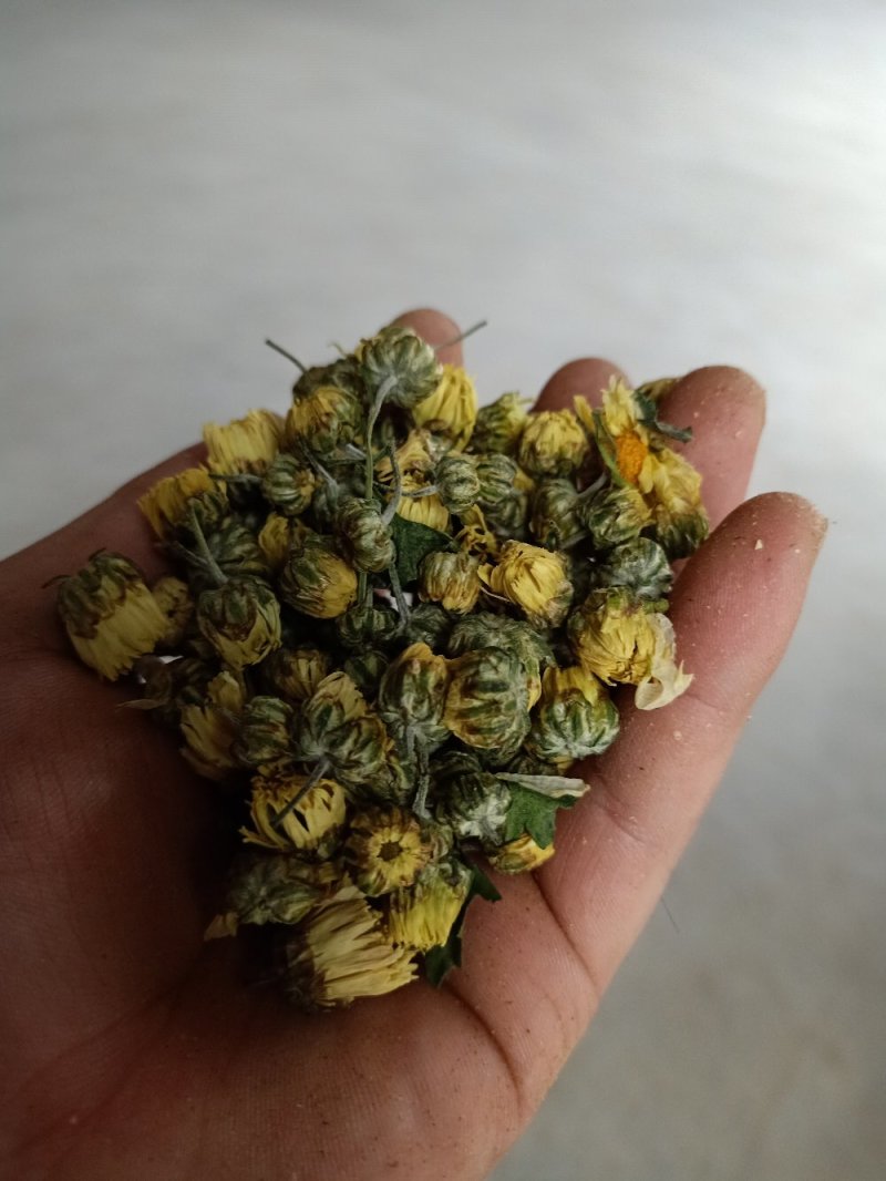 【菊花】精品胎菊花茶清热去火产地直销欢迎采购
