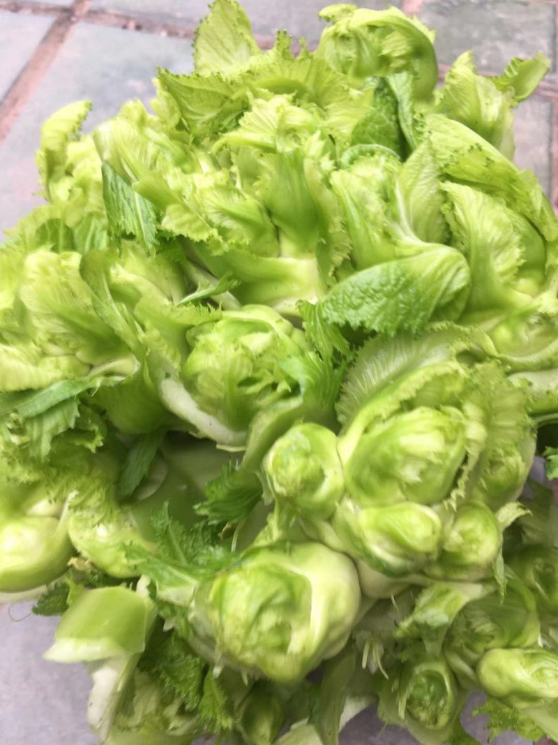 简阳儿菜