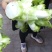 儿菜四川儿菜大量上市想发财的老板按需分拣打包打捆全国备货快