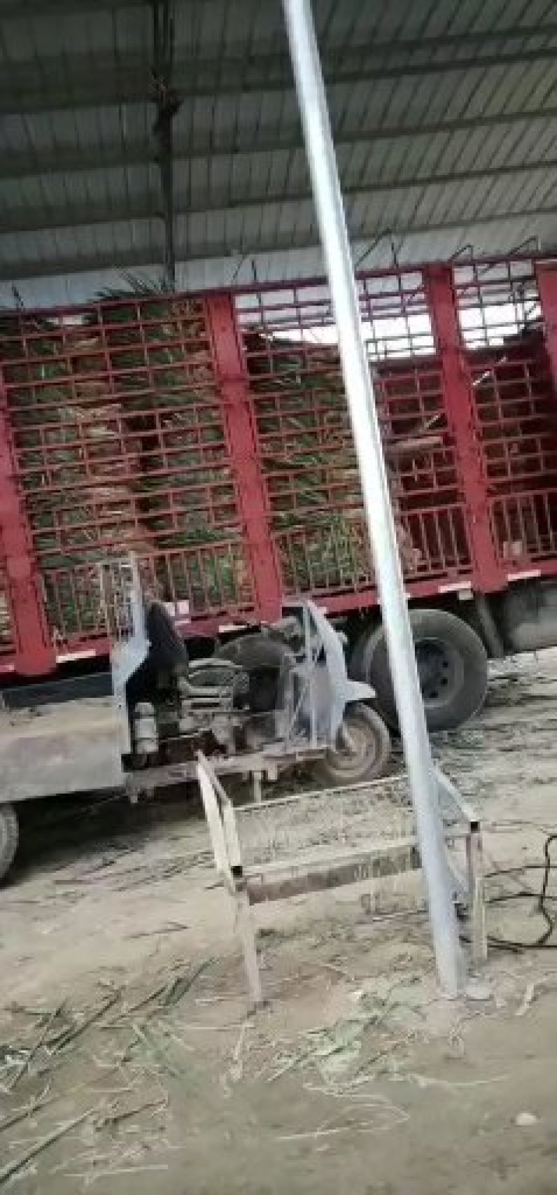 长白大葱毛货，质量好，价格合理