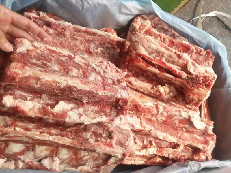 国产糕羊，鲜羊蝎子，肉多骨髓满满的