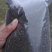 秦岭野生紫苏药用种植生苏子食用苏籽紫苏种子烧烤料半斤包邮