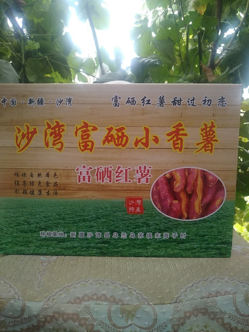 新疆塔城沙湾富硒小香薯欢迎朋友们前来品尝