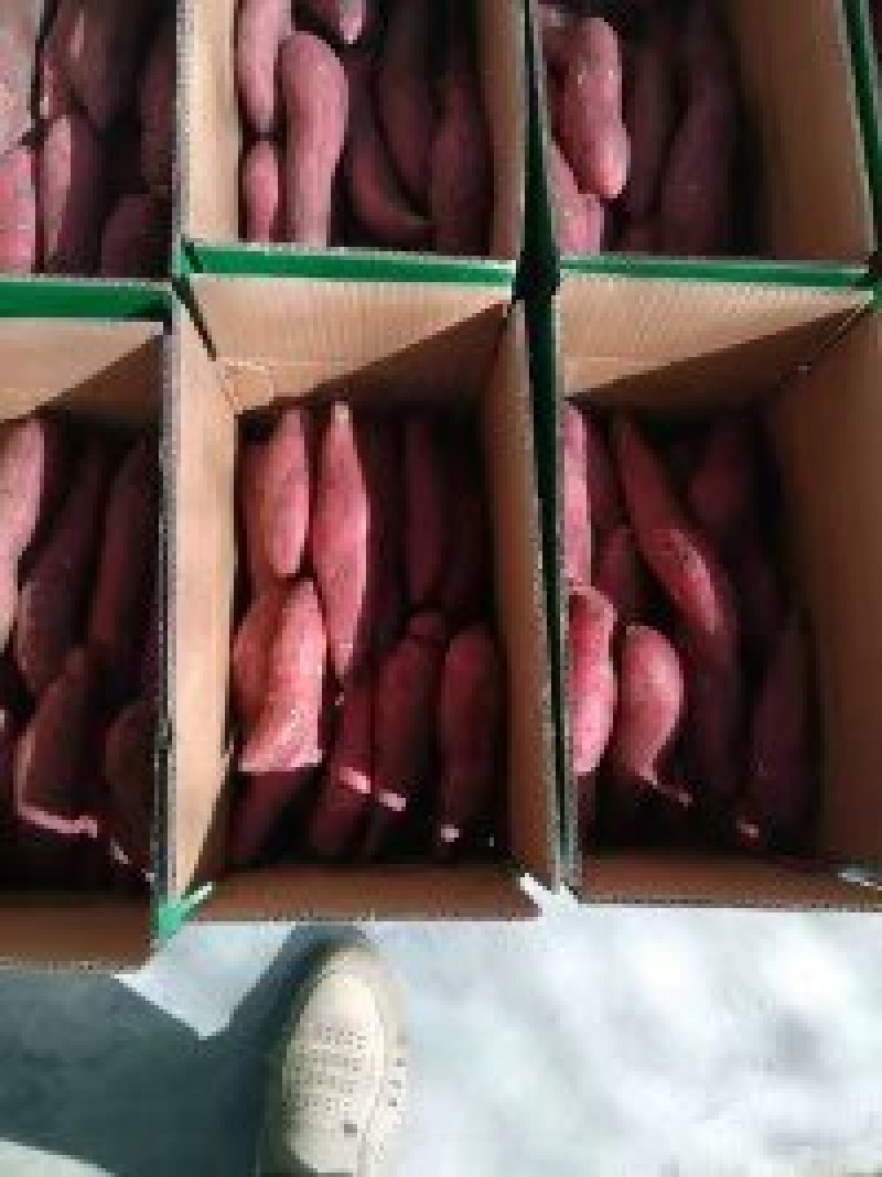 新疆塔城沙湾富硒小香薯欢迎朋友们前来品尝