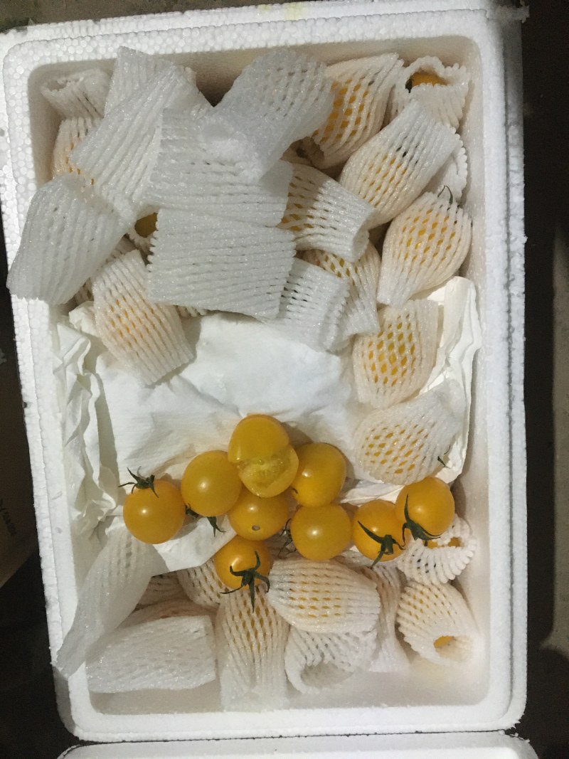 草莓番茄（糖度8度以上，大型种植基地，全年供应）