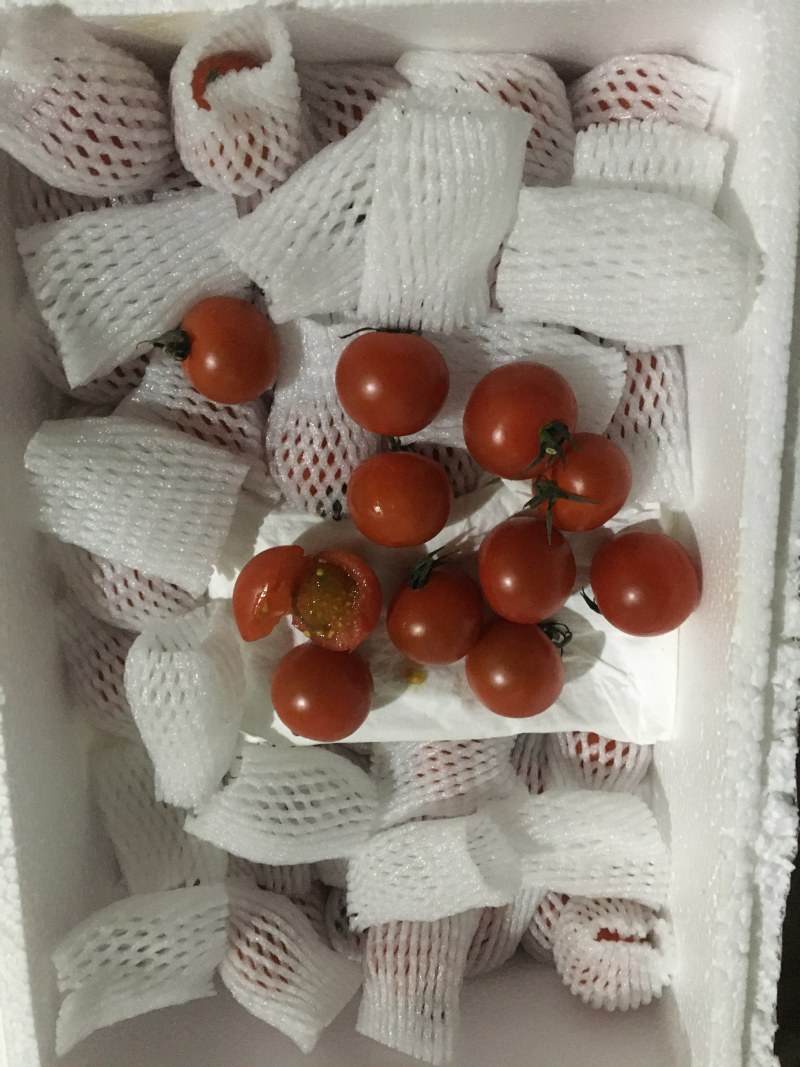 草莓番茄（糖度8度以上，大型种植基地，全年供应）