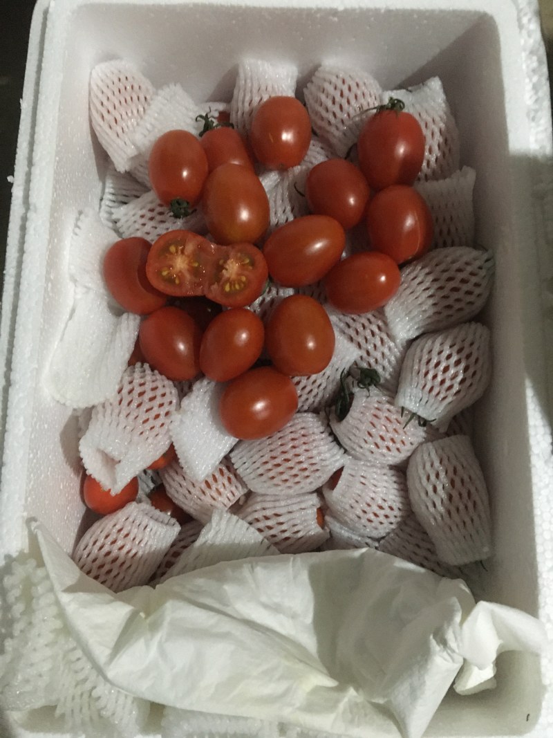 草莓番茄（糖度8度以上，大型种植基地，全年供应）