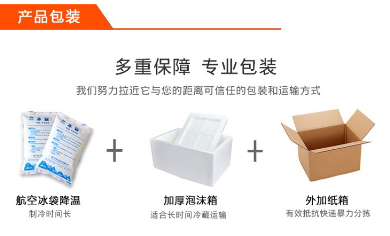 国家四大渔港之一博贺渔港直供斑节虾鬼虾红虾
