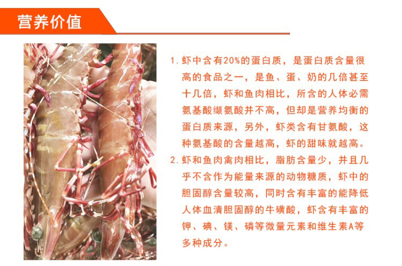 国家四大渔港之一博贺渔港直供斑节虾鬼虾红虾