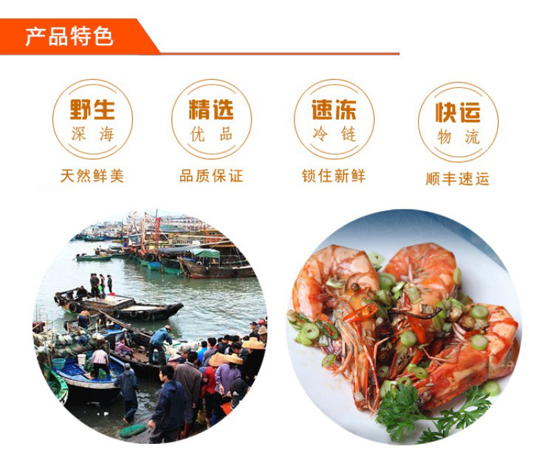 国家四大渔港之一博贺渔港直供斑节虾鬼虾红虾
