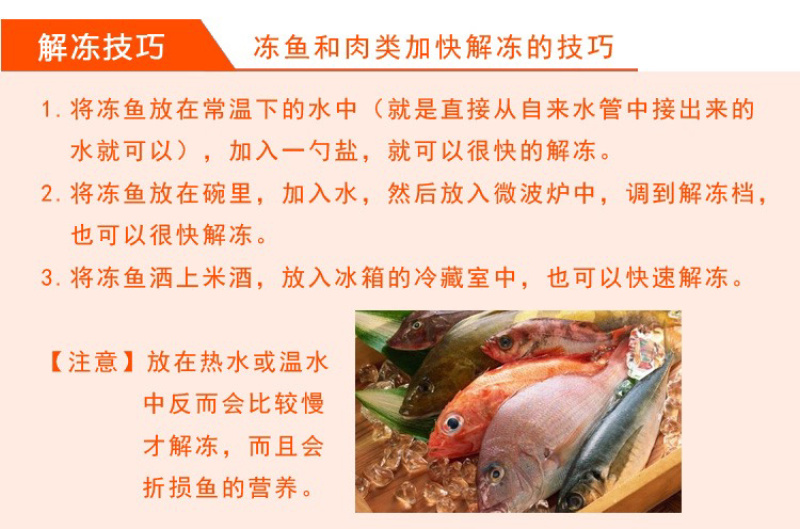 国家四大渔港之一博贺渔港直供斑节虾鬼虾红虾