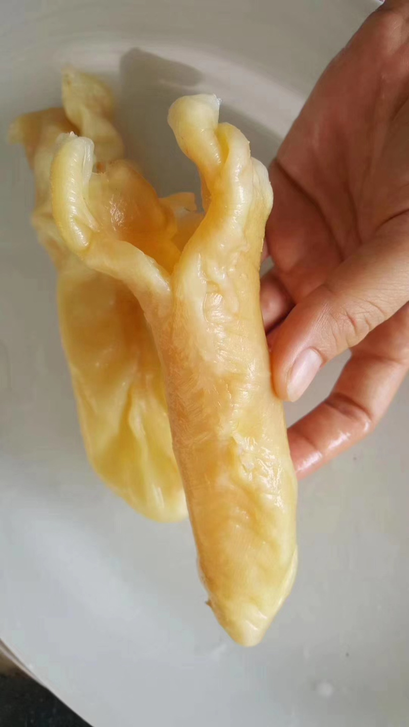 黄花筒胶，补气益血！
