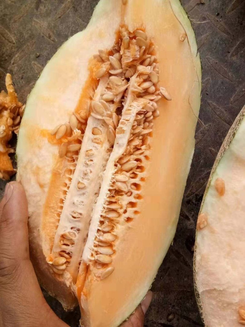 小密口口脆