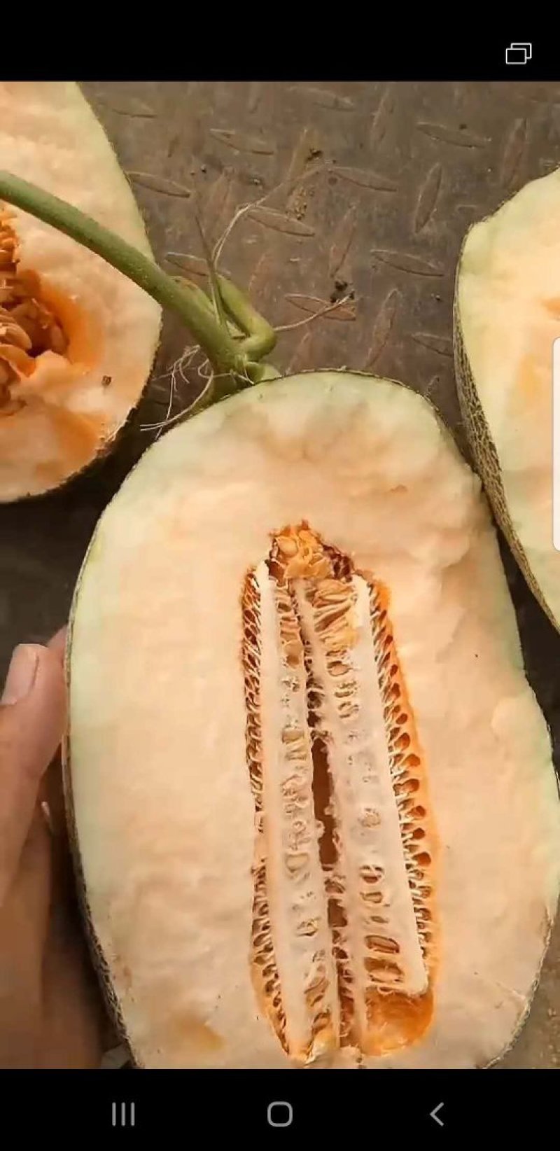 小密口口脆