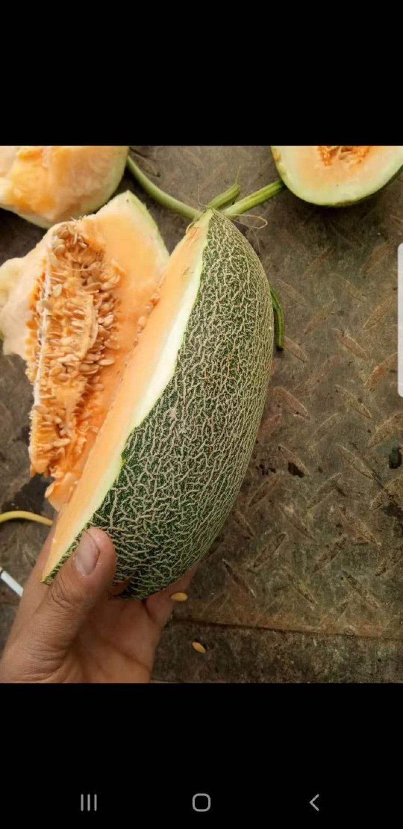 小密口口脆
