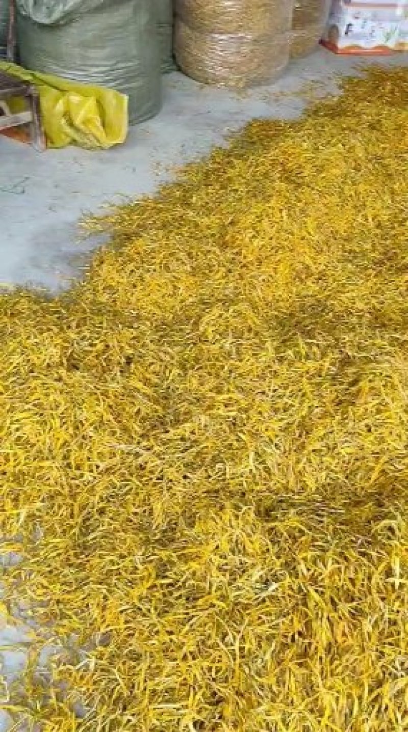 黄花菜，物美价廉，欢迎咨询。