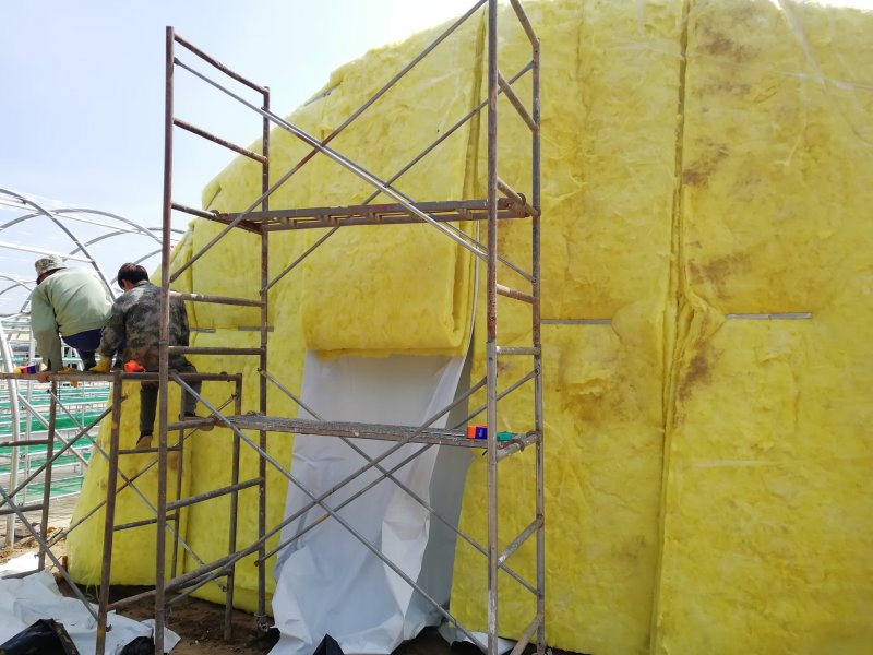 建造食用菌大棚双孢菇温室大棚厂家椭圆管几型钢材料加工