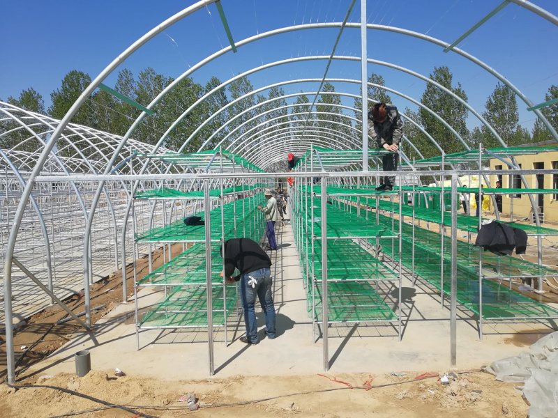 建造食用菌大棚双孢菇温室大棚厂家椭圆管几型钢材料加工