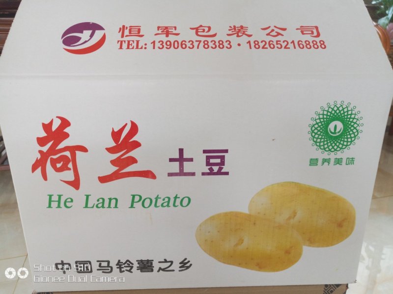 纸箱