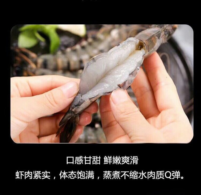 黑虎虾越南纯正野生《一手货源》支持验货常年供货