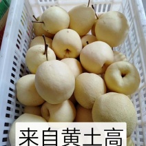 梨