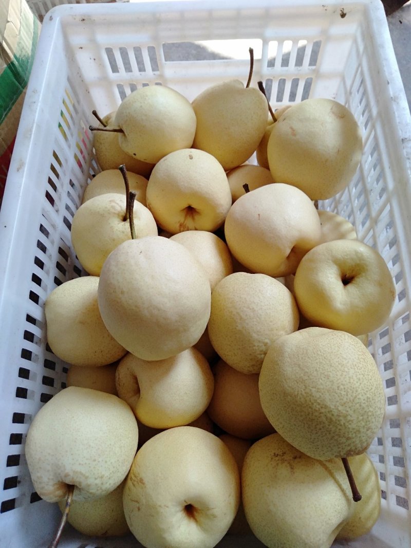 梨