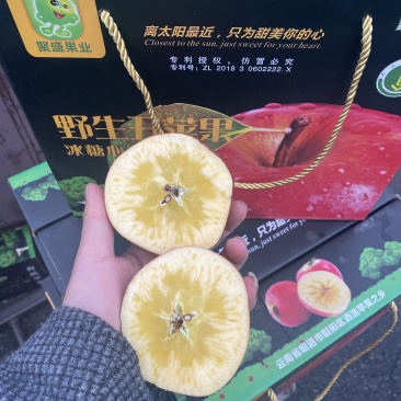 昭通糖心丑苹果