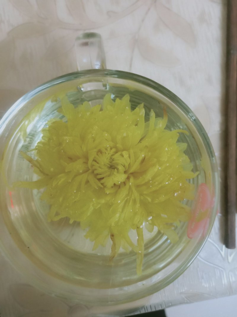 金丝皇菊