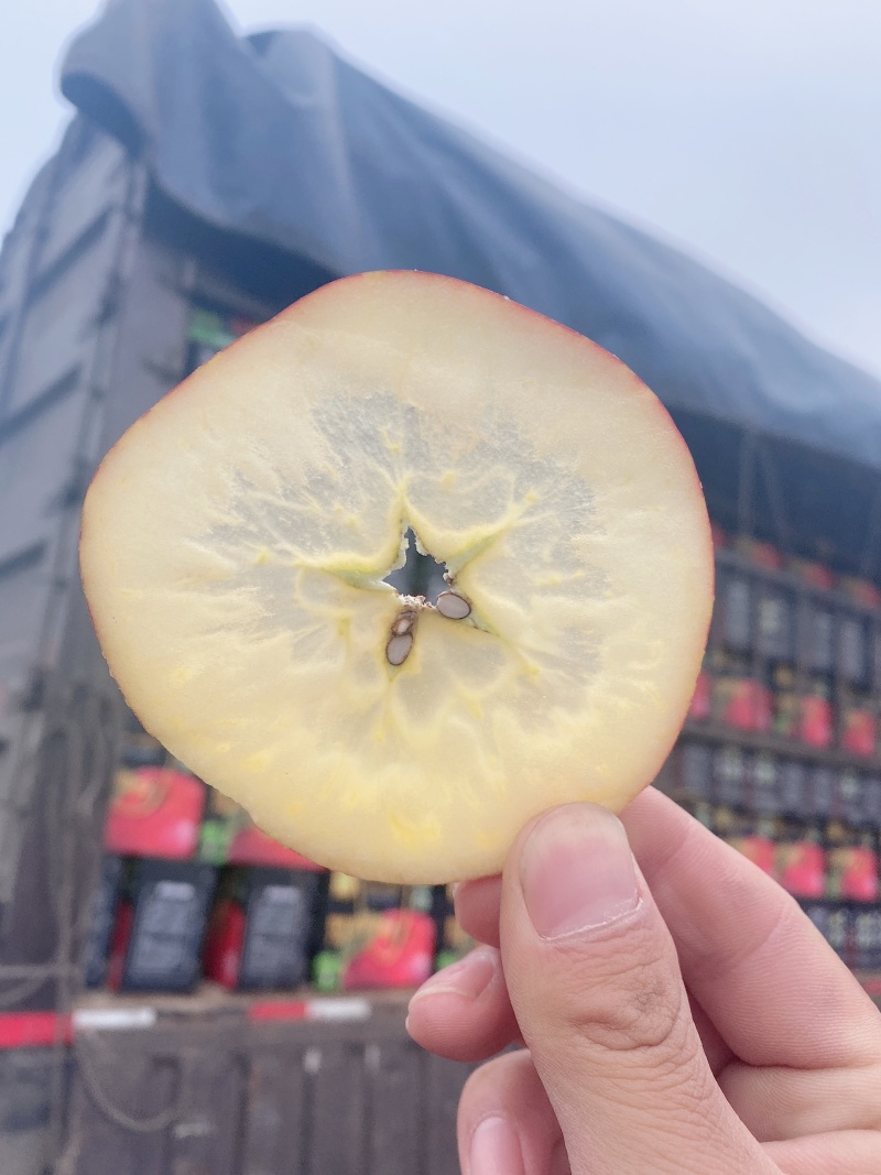 昭通糖心丑苹果