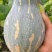 香芋南瓜