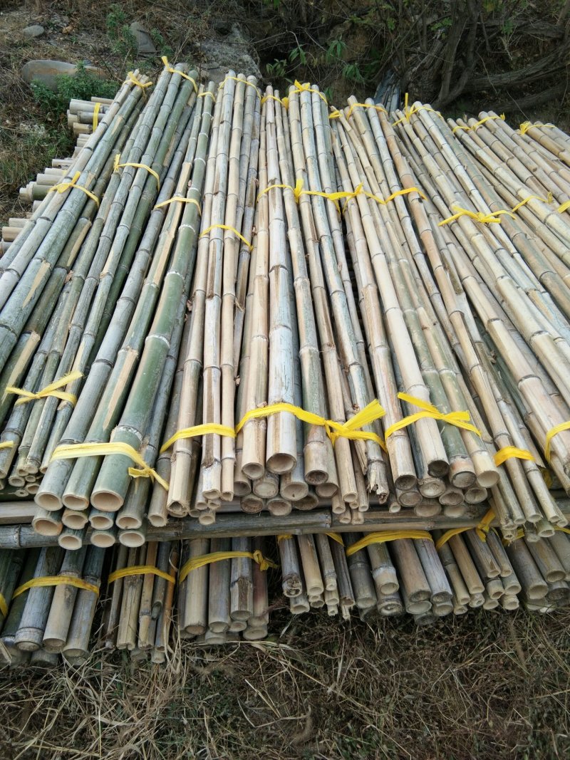 竹尾，绿化撑杆，竹梢，各种规格山药撑杆，