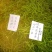 【实发实发】辽宁绥中特色杭椒/质量保证量大代收