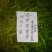 【实发实发】辽宁绥中特色杭椒/质量保证量大代收