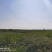 养殖基地