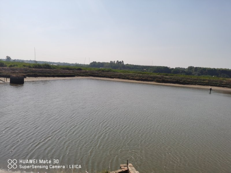养殖基地