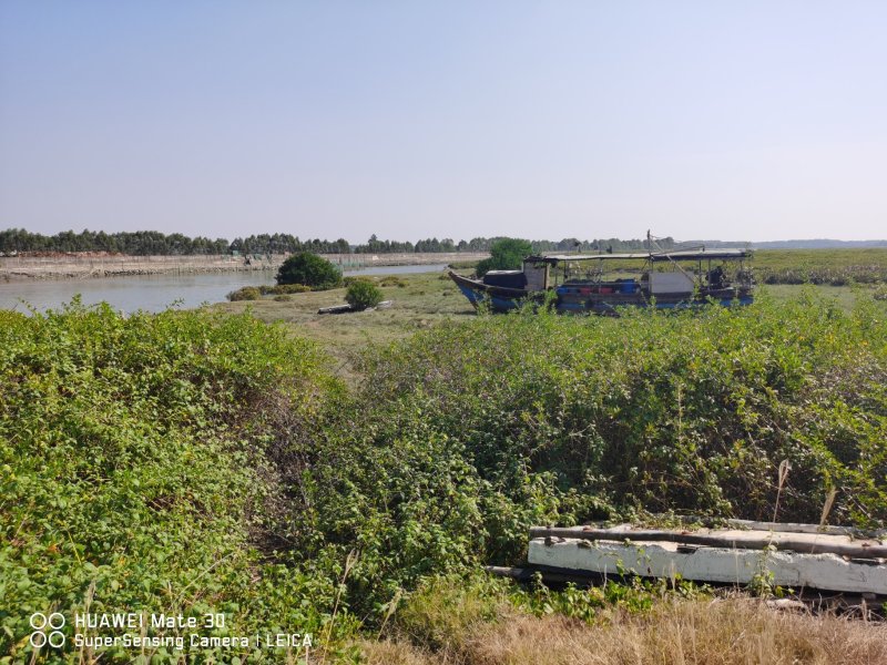 养殖基地