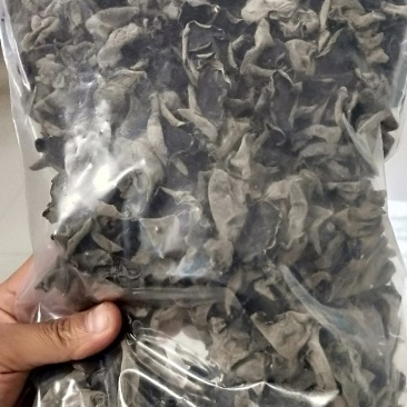 木耳