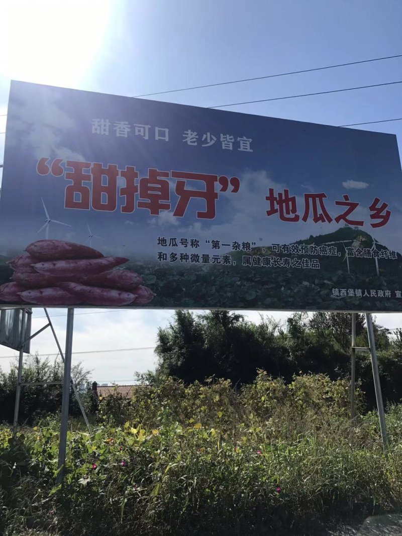 自产自销，甜掉牙地瓜，铁岭特产，保甜，软糯香甜，黄瓤稀瓤