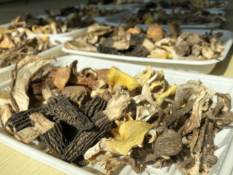 家庭装羊肚菌汤包AAA级用料