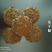 饼干糕点