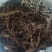 石菖蒲中药材野生石菖蒲正品可磨石菖蒲粉石昌蒲石菖蒲
