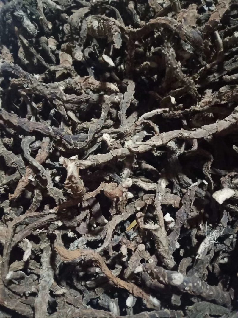石菖蒲中药材野生石菖蒲正品可磨石菖蒲粉石昌蒲石菖蒲