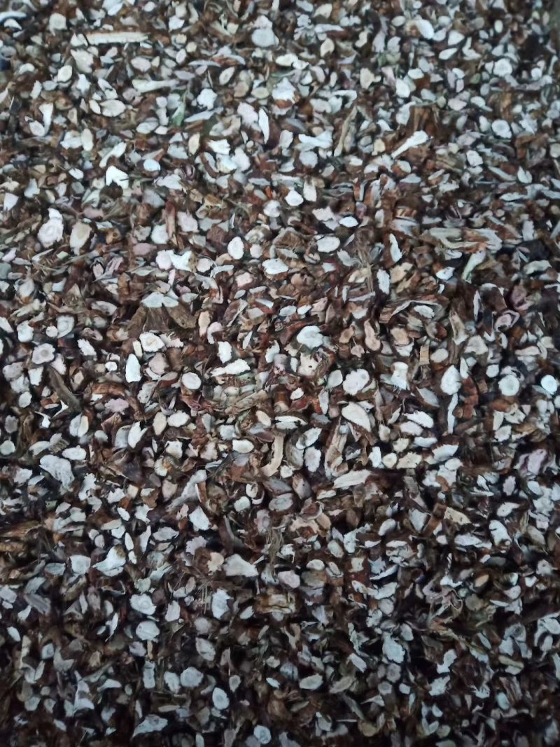 石菖蒲中药材野生石菖蒲正品可磨石菖蒲粉石昌蒲石菖蒲