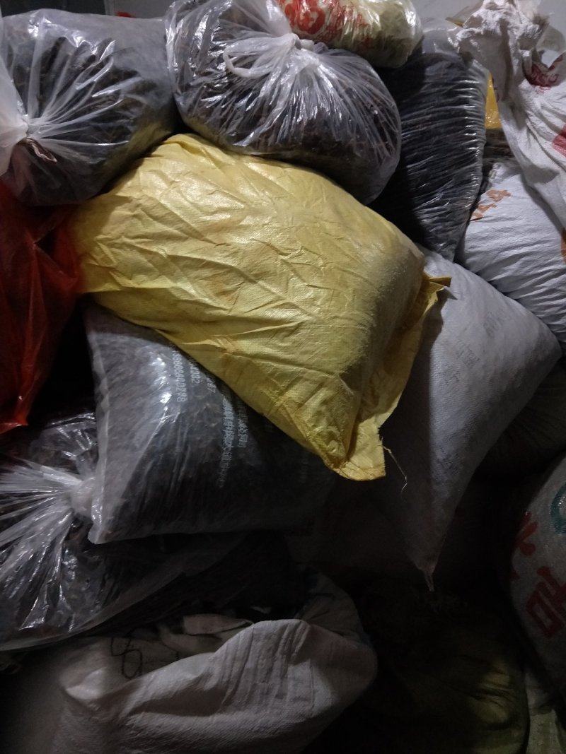 湖北新脱水干豆角自然晾晒无化学添加，豆角干质量优