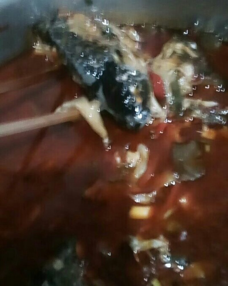 黄金鲫鱼批发