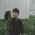 荠荠菜