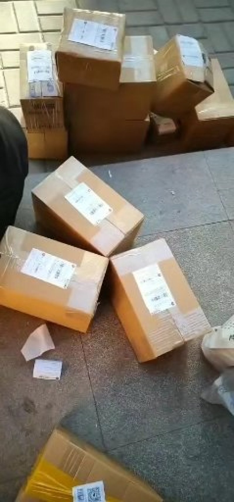 冬虫夏草玉树精选精品全国顺丰包邮，假一赔万不满意可退