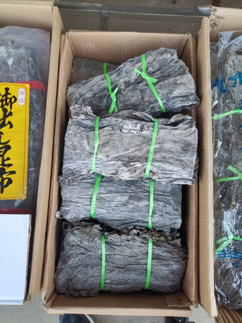 山东日照海带渔家自晒货真价实